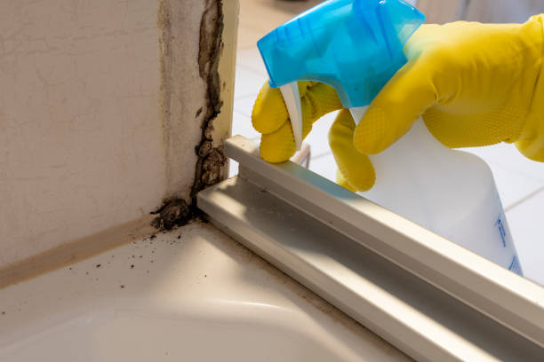 Mold Remediation for Rental Properties in Plattsburg, MO