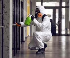 Why You Should Choose Our Mold Remediation Services in Plattsburg, MO